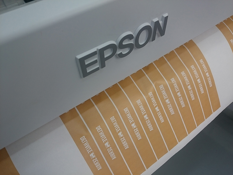 epson6000